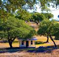 Houses for Sale